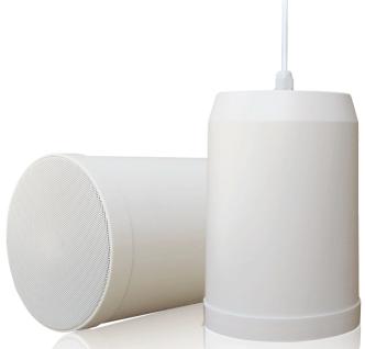 DSR-H228A  IP网络有源吊顶式扬声器 10W